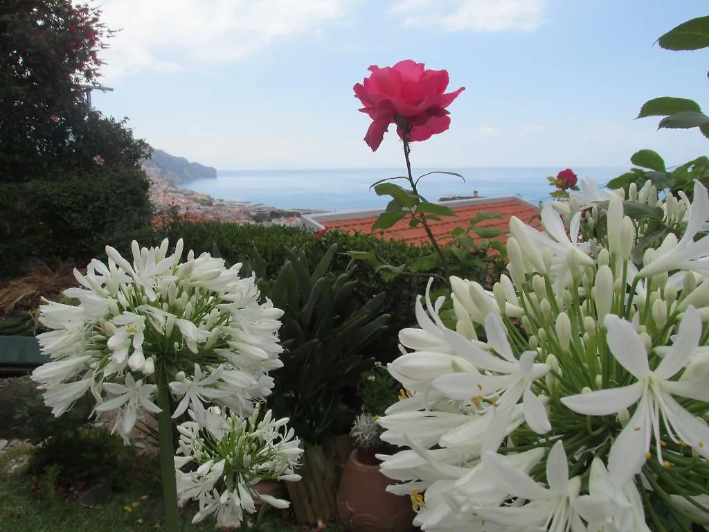 Apartment Vista Oceano Funchal   Funchal (Madeira)