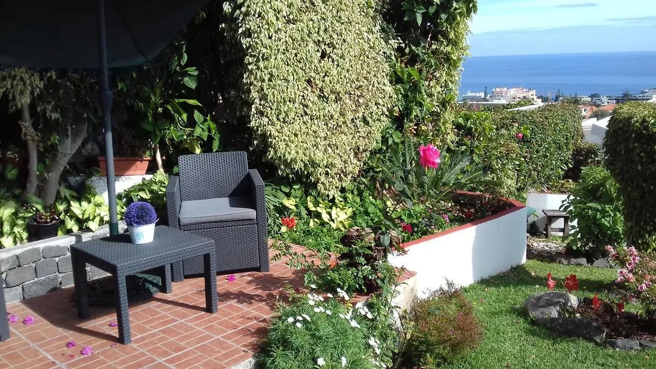 Apartments Vista Oceano Funchal  Funchal (Madeira)